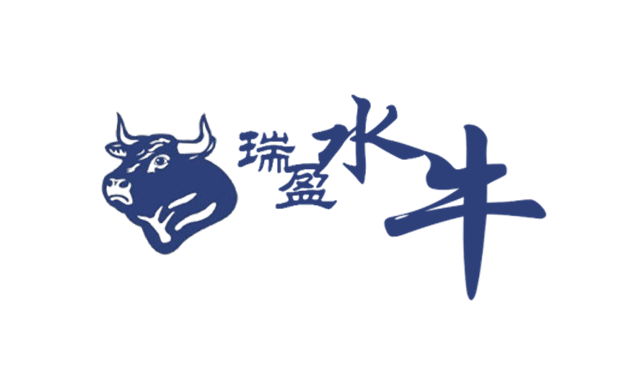 公司历史
